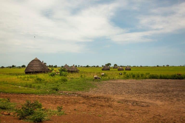 Selection environnement Soudan du Sud © Patrick Meinhardt ALIMA 7 5