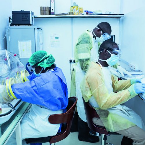 Photo 10 - ALIMA _Nigeria_Disease outbreaks and Emerging diseases_Lassa fever_ 2019_Copyright Etisona Yvonne-ALIMA_Photos_ 11